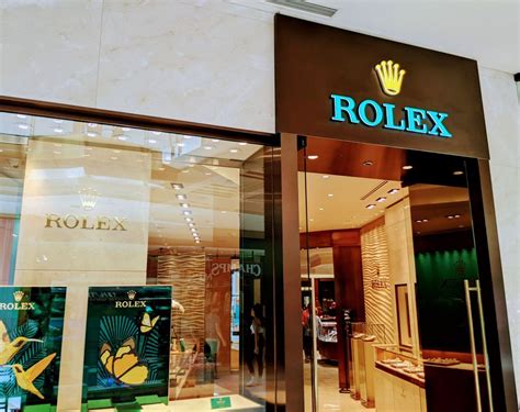 rolex store tampa